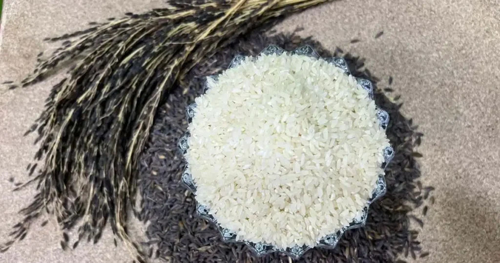 Buy Kalanamak Rice