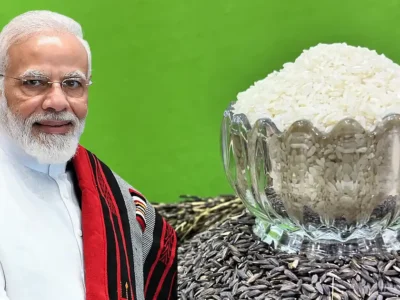 Even PM Modi Prefer Kalanamak Rice